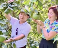 Công ty Cổ phần Hoàng Anh Agritech: nghiên cứu công nghệ vi sinh xử lý thực bì