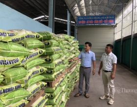 Phân vô cơ tăng giá, cơ hội nào cho phân bón hữu cơ?