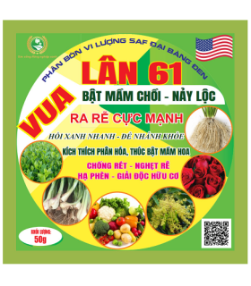 PHÂN BÓN LÁ VUA LÂN 61