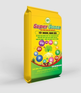 PHÂN BÓN SUPER GREEN