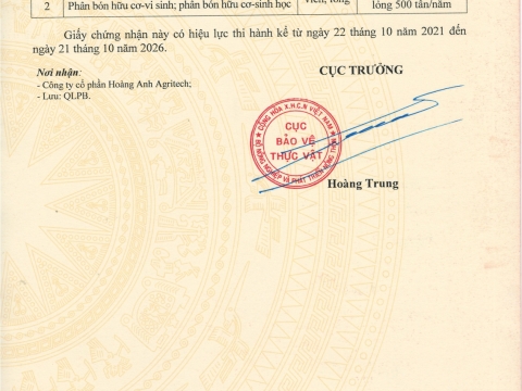 Giấy phép Sản Xuất